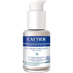 Gel Crema Purificante