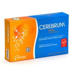 Cerebrum Forte Con Ceromas