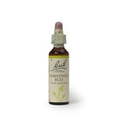 Flor De Bach Chestnut Bud (Wisdom)