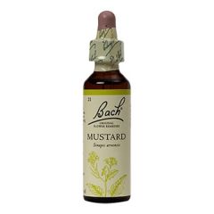 Mostaza (Estabilidad) Flor De Bach