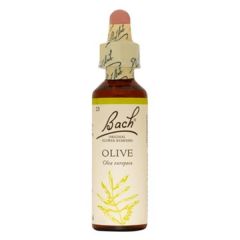 Oliva (Dinamismo) Flor De Bach