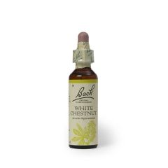 White Chestnut (Serenidad) Flor De Bach
