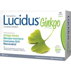 Ginkgo Lucidus