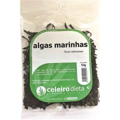 Algas Marinas