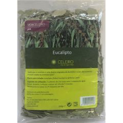 Té De Eucalipto
