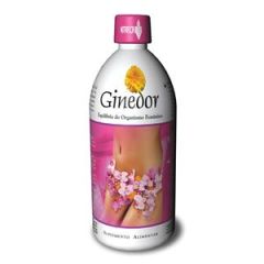Ginedor