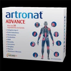 Artronat Advance