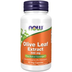 Hoja De Olivo