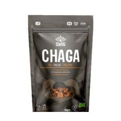 Hongo Chaga En Polvo Bio 100G