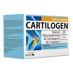 Carteras De Cartilogen