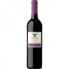 Vino Tinto Syrah Pura Cepa 2017Bio 75Cl