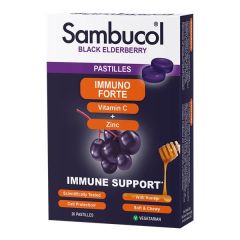 Saúco Vit.C Zinc 20 Comprimidos Inmunoforte