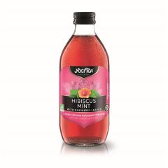 Refresco De Té Helado De Menta Bio