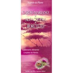 Cardo Mariano, Alcachofa Y Fruta De Mantequilla