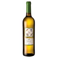 Vino Blanco 2024 Bio